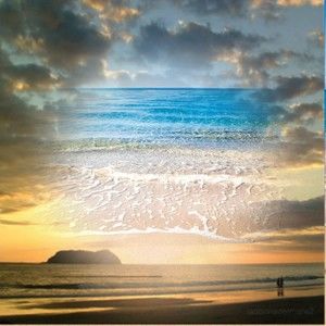 Meet your Posher, Jake